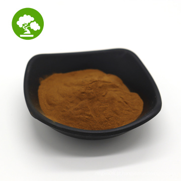 Extrato de cogumelo reishi de alta qualidade Ganoderma lucidum